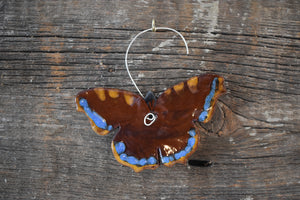 Mourning Cloak