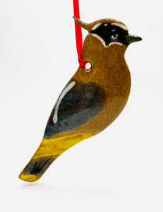 Cedar Waxwing